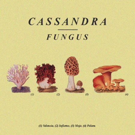 Fungus de Cassandra